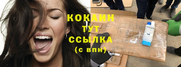 индика Богородицк