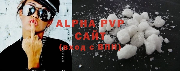 индика Богородицк