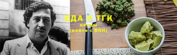 индика Богородицк