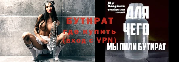 индика Богородицк