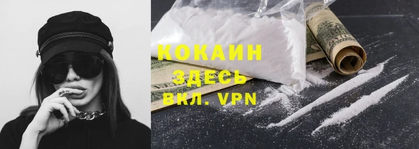 mdpv Богородск