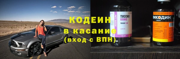 индика Богородицк