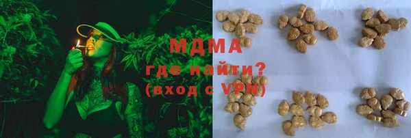 индика Богородицк