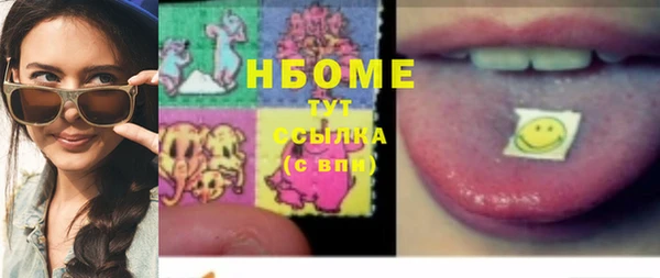 индика Богородицк