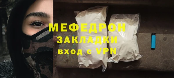 индика Богородицк