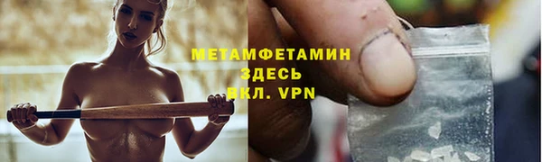индика Богородицк