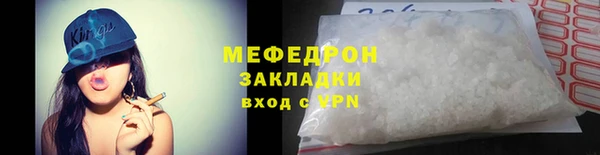 индика Богородицк