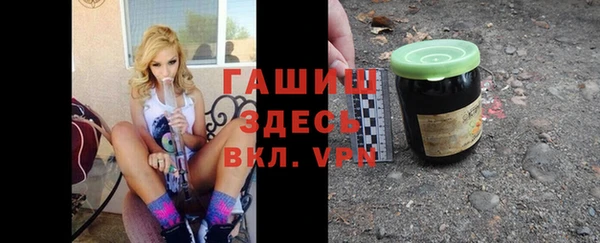 индика Богородицк