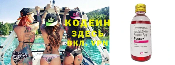 индика Богородицк