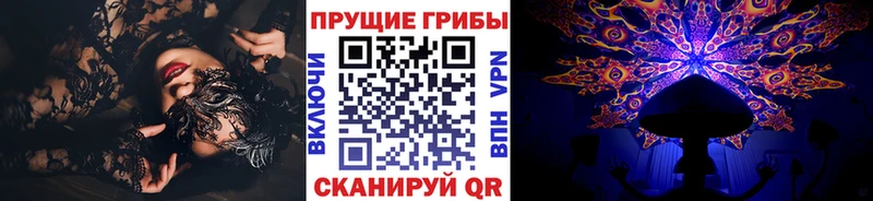 как найти наркотики  Шуя  Псилоцибиновые грибы Magic Shrooms 