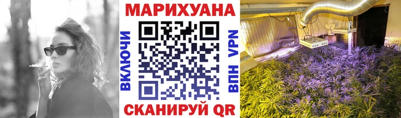 продажа наркотиков  Шуя  Шишки марихуана OG Kush 